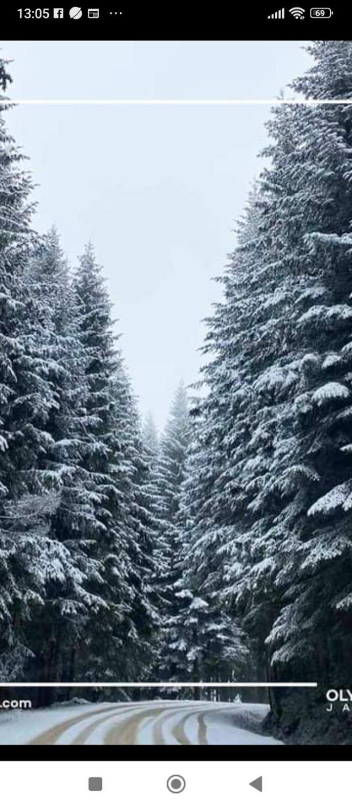 Pahuljica Villa Jahorina